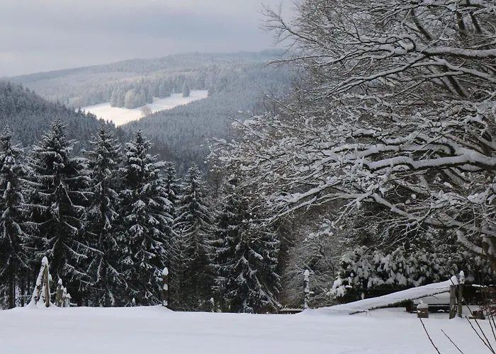 Suedhang By Interhome Сasa de vacaciones Winterberg